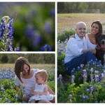 2012 Bluebonnet Photographer in College Station