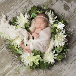 Lily | College Station Newborn Pictures